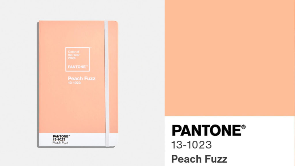 El color del año 2024, Peach Fuzz
